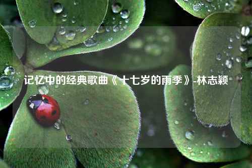 记忆中的经典歌曲《十七岁的雨季》-林志颖