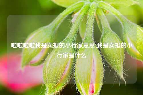 啦啦啦啦我是卖报的小行家意思 我是卖报的小行家是什么