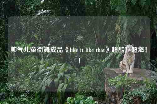 帅气儿童街舞成品《like it like that》超酷！超燃！！