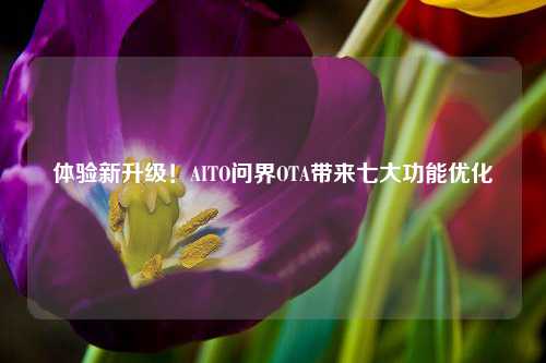 体验新升级！AITO问界OTA带来七大功能优化